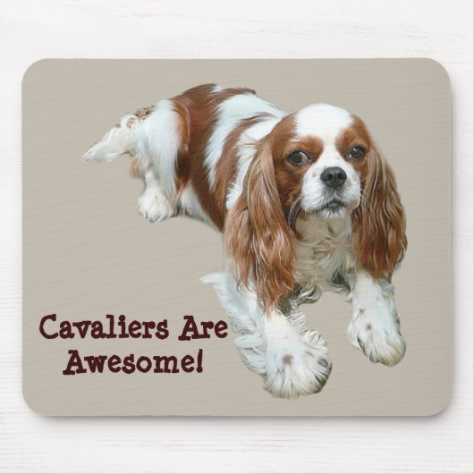 Unbekümmerter Königcharles Spaniel Mousepad (Vorne)