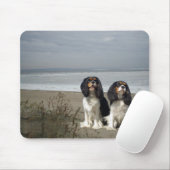 Unbekümmerter Königcharles Spaniel Mousepad (Mit Mouse)