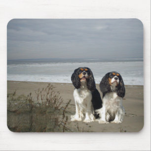 Unbekümmerter Königcharles Spaniel Mousepad