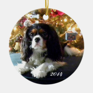 Unbekümmerter Königcharles Spaniel personifizier Keramikornament