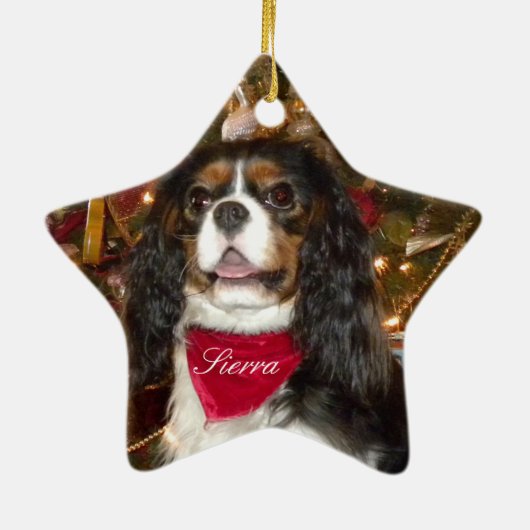 Unbekümmerter Königcharles Spaniel personifizieren Keramikornament (Hinten)
