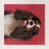 Unbekümmerter Königcharles Spaniel Puzzle (Horizontal)