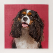 Unbekümmerter Königcharles Spaniel Puzzle (Vertikal)