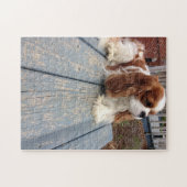 Unbekümmerter Königcharles Spaniel Puzzle (Horizontal)