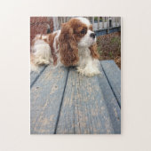Unbekümmerter Königcharles Spaniel Puzzle (Vertikal)