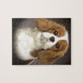 Unbekümmerter Königcharles Spaniel Puzzle (Horizontal)