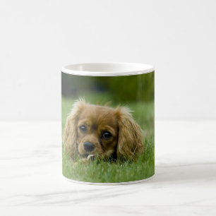 Unbekümmerter Königcharles Spaniel-Rubin Kaffeetasse
