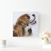 Unbekümmerter Königcharles Spaniel, Seitenansicht Quadratische Wanduhr (Zuhause)