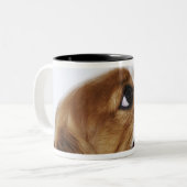 Unbekümmerter Königcharles Spaniel, Seitenansicht Zweifarbige Tasse (Vorderseite Links)