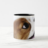 Unbekümmerter Königcharles Spaniel, Seitenansicht Zweifarbige Tasse (Mittel)