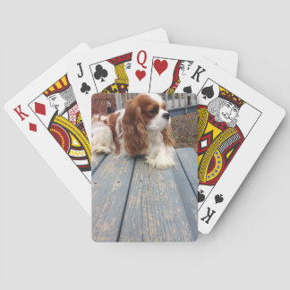 Unbekümmerter Königcharles Spaniel Spielkarten