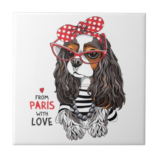 Unbekümmerter Königcharles Spaniel von Paris mit Fliese (Vorderseite)
