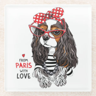 Unbekümmerter Königcharles Spaniel von Paris mit Glasuntersetzer