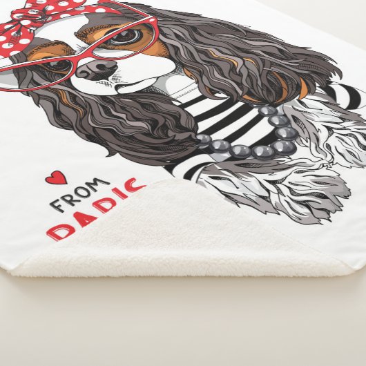 Unbekümmerter Königcharles Spaniel von Paris mit Sherpadecke (3/4)