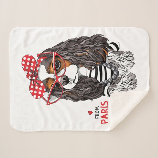 Unbekümmerter Königcharles Spaniel von Paris mit Sherpadecke (Vorderseite (Horizontal))