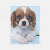 Unbekümmerter Königcharles Spaniel-Welpe Fleecedecke (Vorderseite)