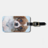 Unbekümmerter Königcharles Spaniel-Welpe Gepäckanhänger (Vorderseite horizontal)
