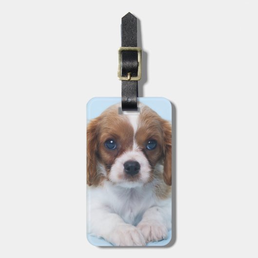Unbekümmerter Königcharles Spaniel-Welpe Gepäckanhänger (Vorderseite vertikal)
