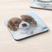 Unbekümmerter Königcharles Spaniel-Welpe Getränkeuntersetzer (Linke Seite)