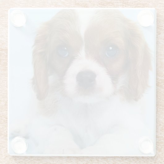 Unbekümmerter Königcharles Spaniel-Welpe Glasuntersetzer (Rückseite)