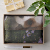 Unbekümmerter Königcharles Spaniel-Welpe hinter Seidenpapier (Geschenk)