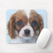 Unbekümmerter Königcharles Spaniel-Welpe Mousepad (Mit Mouse)