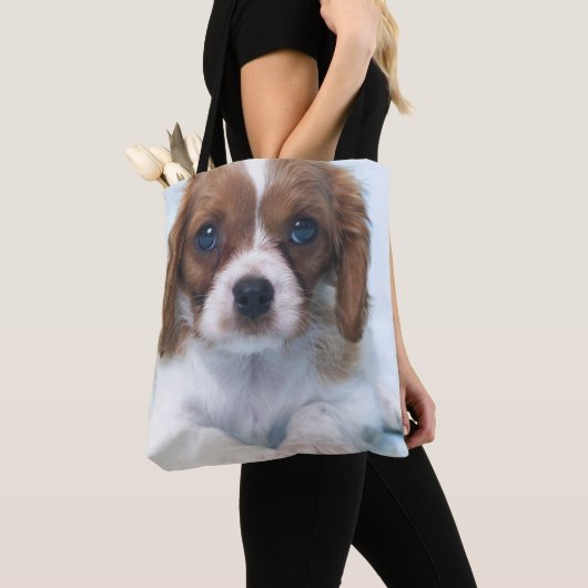 Unbekümmerter Königcharles Spaniel-Welpe Tasche (Von Nahem)