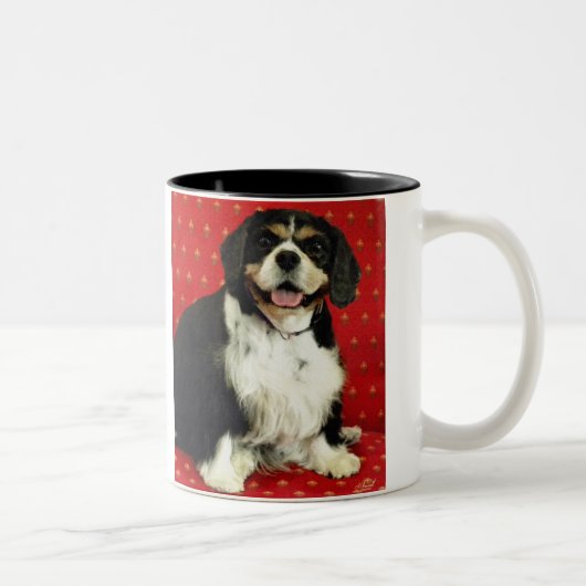 UNBEKÜMMERTER KÖNIGcharles SPANIEL Zweifarbige Tasse (Rechts)