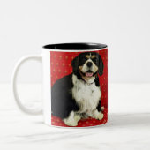 UNBEKÜMMERTER KÖNIGcharles SPANIEL Zweifarbige Tasse (Links)
