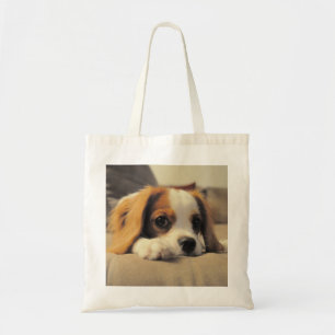 Unbekümmerter streichelnder Königcharles Spaniel Tragetasche