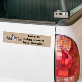 Unbekümmerter Threesome-Autoaufkleber Autoaufkleber (Auf Lkw)