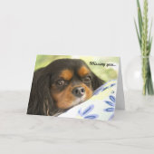 Unbekümmerter vermisster Königcharles Spaniel Karte (Vorderseite)