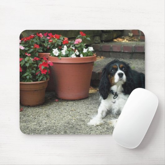 Unbekümmerter Welpen-Hund König-Charles mit Blumen Mousepad (Mit Mouse)