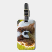 Unbekümmertes Königcharles Spaniel-Porträt Gepäckanhänger (Vorderseite vertikal)