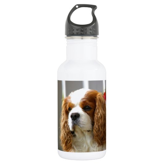 Unbekümmertes Königcharles Spaniel-Porträt Trinkflasche (Vorderseite)