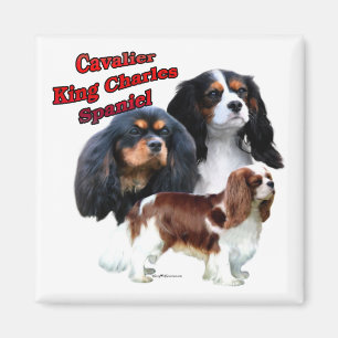 Unbekümmertes Königcharles Spaniel-Trio 2 - Magn Magnet