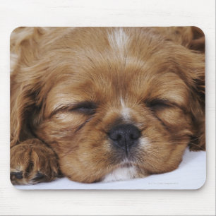 Unbekümmertes Königcharles Spaniel-Welpenschlafe Mousepad