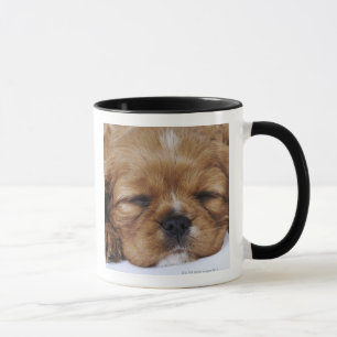 Unbekümmertes Königcharles Spaniel-Welpenschlafe Tasse