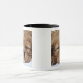 Unbekümmertes Königcharles Spaniel-Welpenschlafen Tasse (Zentrum)