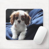 Unbekümmertes mousepad Welpe Königs Charles (Mit Mouse)