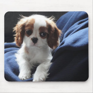 Unbekümmertes mousepad Welpe Königs Charles