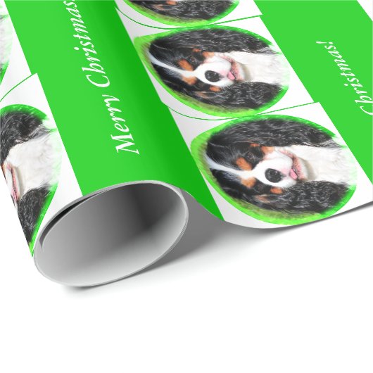 Unbekümmertes Packpapier König-Charles Tri Farbe (Rolleneckpunkt)