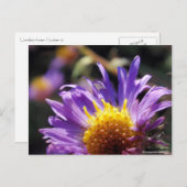Unbenannt Aster Nummer 10 Postkarte (Vorne/Hinten)