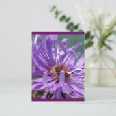 Unbenannt Aster Nummer 11 Postkarte (Stehend Vorderseite)