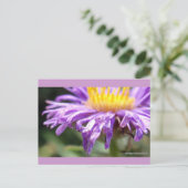 Unbenannt Aster Nummer 2 Postkarte (Stehend Vorderseite)