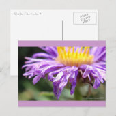 Unbenannt Aster Nummer 2 Postkarte (Vorne/Hinten)