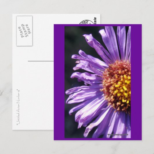Unbenannt Aster Nummer 4 Postkarte (Vorne/Hinten)