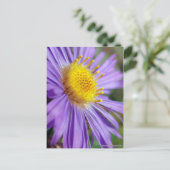 Unbenannt Aster Nummer 5 Postkarte (Stehend Vorderseite)