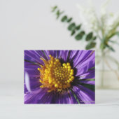 Unbenannt Aster Nummer 8 Postkarte (Stehend Vorderseite)