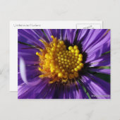 Unbenannt Aster Nummer 8 Postkarte (Vorne/Hinten)